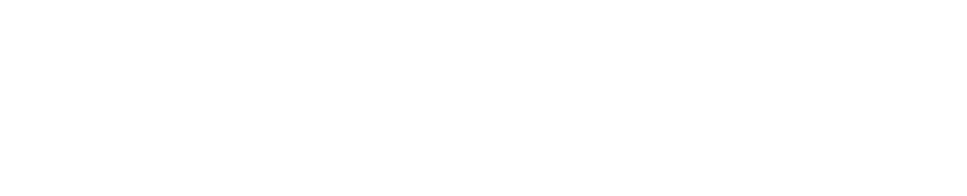 NewTech Steels